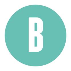 Project B