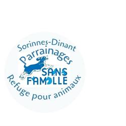 Sans Famille