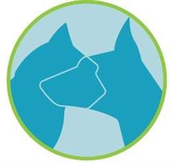 Dierenarts Stefanie Van den Broeck