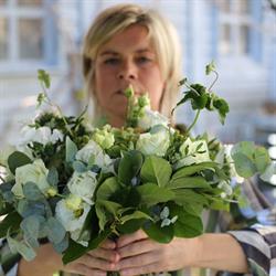 Bloem en Blad