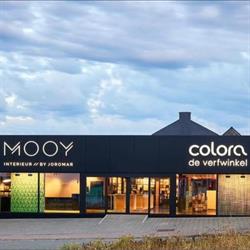 colora zottegem