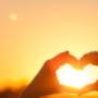 Verbieren-Missotten-kine - Cardio-Medigym