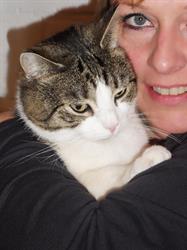 Kattenhotel titus
