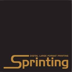Sprinting Bvba