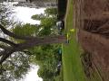 Certified Tree Manager