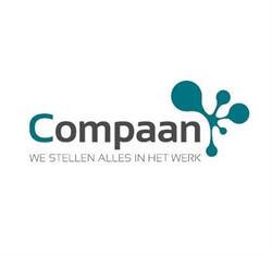 Inzicht Loopbaanbegeleiding (Compaan)