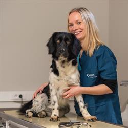 Dierenartsenpraktijk Hasselbroek