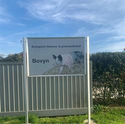 Bovyn