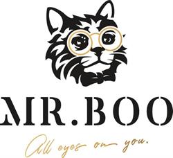 Mr Boo