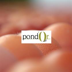 Pond'or