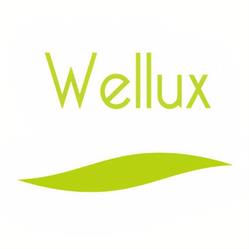 Wellux