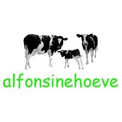 Alfonsinehoeve