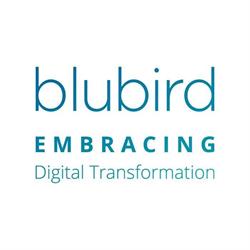 Blubird
