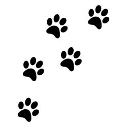 Les jardins d'O'Malley - pension pour chats