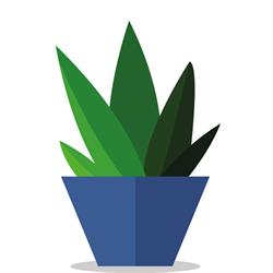 KOEN-interieurbeplanting