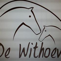Stal De Withoeve