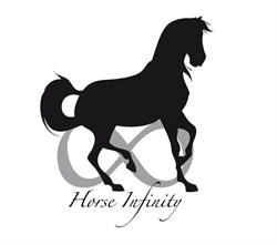 Horse Infinity