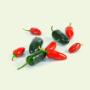Jalapeno