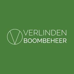 Verlinden Boombeheer