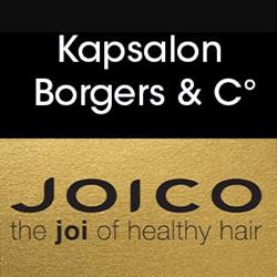 Kapsalon Borgers & C°