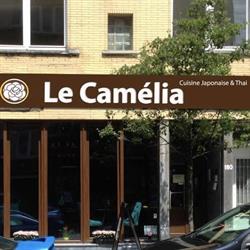Le Camélia