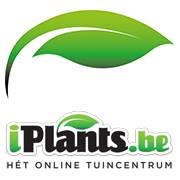 Voet Jonathan (iPlants.be)