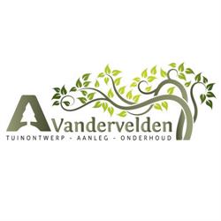 Vandervelden A.