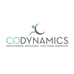 CoDynamics - Matthijs Casteels