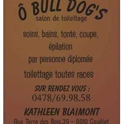 Ô Bull dog's salon de toilettage