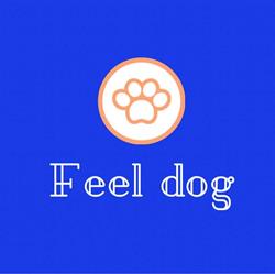Feel Dog