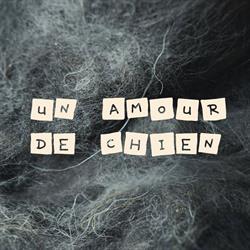 Un amour de chien