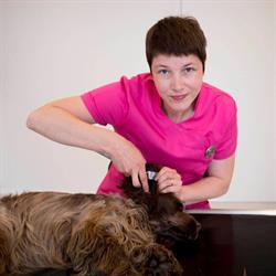 Dierenarts Veerle Bocken
