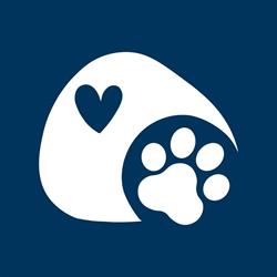 Honden ter adoptie in Dierenasiel Sint-Truiden