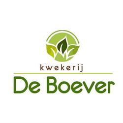 Kwekerij De Boever