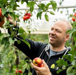 Helsen Fruit