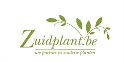 Zuidplant
