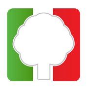 Fiat Garage De Linde