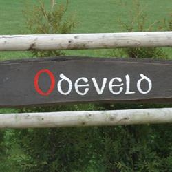 Stal Odeveld