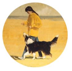 All dogcenter - Dominique Standaert