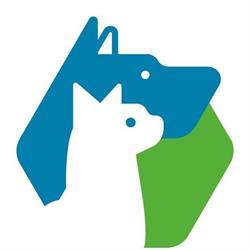 Dierenarts Nelly Mols