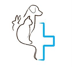 Dierenarts Steven De Smedt