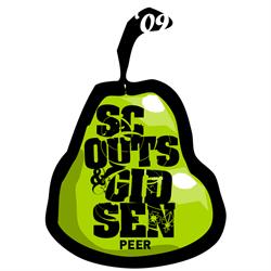 Scouts en Gidsen Peer