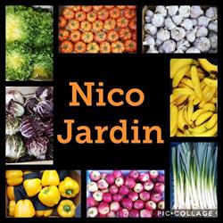 Nico Jardin