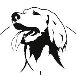 Trimsalon A dog's day