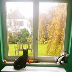 Pension pour petits animaux Au Toupoilu