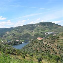 PorteVinho