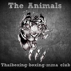 The Animals Thaiboxing/Boxing/mma club