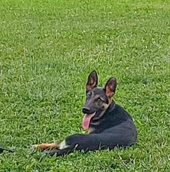 Cabinet Vétérinaire Michel Moreau