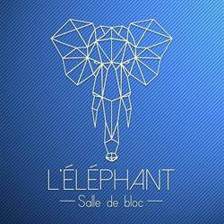 The elephant - bouldering