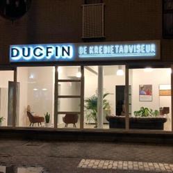 Ducfin
